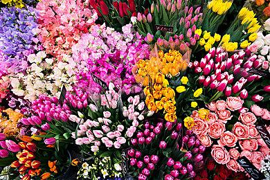 《银河战士：生存恐惧》发布概览预告 介绍游戏机制和新敌人